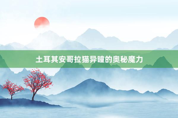 土耳其安哥拉猫异瞳的奥秘魔力