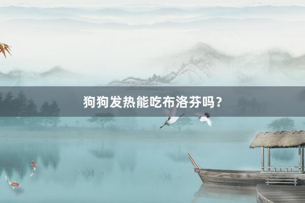 狗狗发热能吃布洛芬吗？
